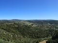 trexenta-campagna-sarda