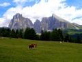 Alpe di Siusi